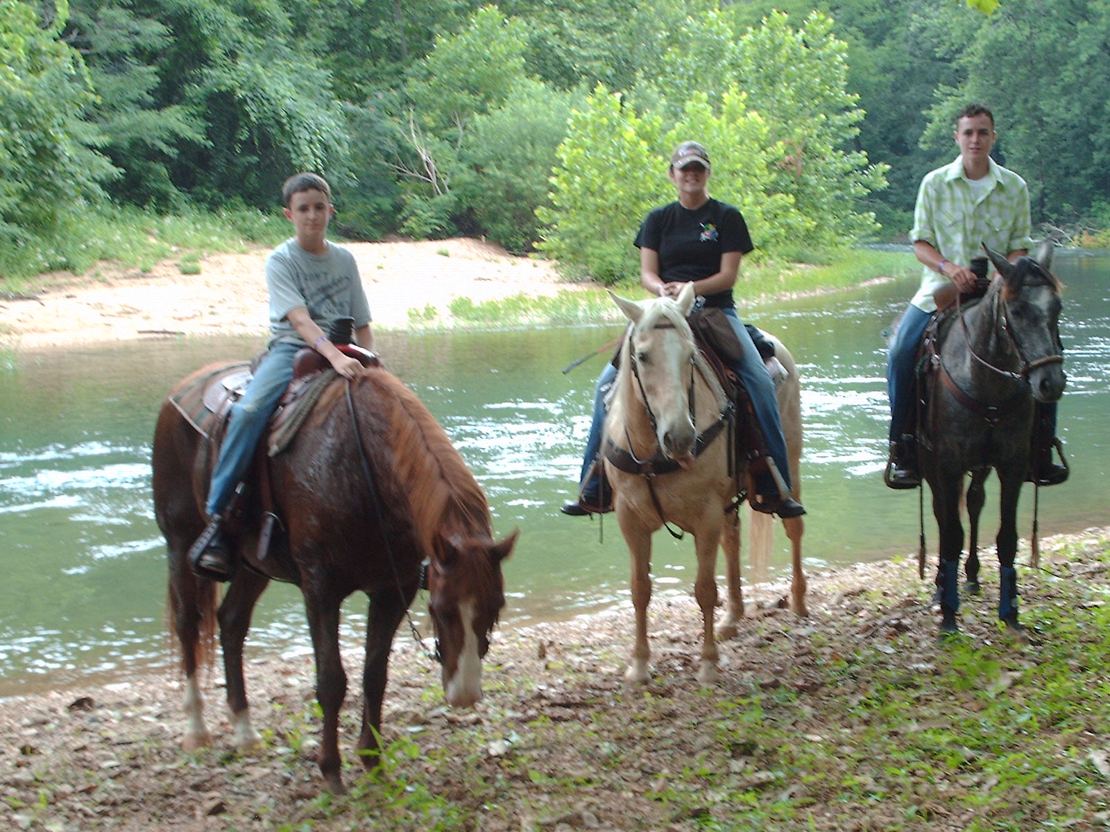 RED Rowdy Drifter 2010 AQHA Quarter Pony